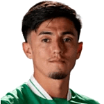 Nicolas Aedo