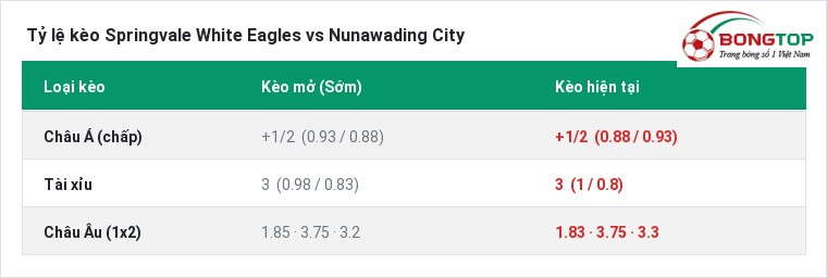 Tỷ lệ kèo Springvale White Eagles vs Nunawading City tại BongTop