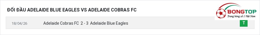 Lịch sử đối đầu Adelaide Blue Eagles vs Adelaide Cobras FC