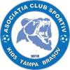 Logo ACS Kids Tampa Brasov