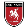 Logo ACS Viitorul Selimbar