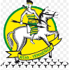Logo ASFA-Yennega