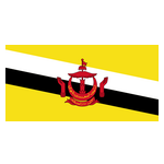 Logo Brunei Darussalam U20