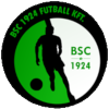 Logo Budaorsi SC