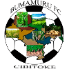 Logo Bumamuru