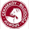 Logo Cekmekoy (W)