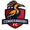 Cendrawasih FC