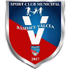 Logo CSM Ramnicu Valcea