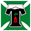 Logo Deportes Temuco (W)