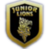 Junior Lions FC U21