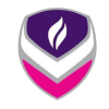 Logo Loughborough Lightning (W)