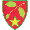 Mostistea Ulmu