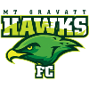 Logo Mount Gravatt Hawks