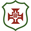 Logo Portuguesa Santista SP Youth