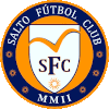 Logo Salto Capital