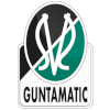 Logo SV Ried