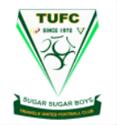 Logo Triangle FC