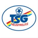 Logo TSG Neustrelitz