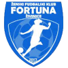 Logo ZFK Fortuna Zivinice (W)