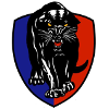 Logo Adelaide Panthers