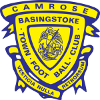 Logo Basingstoke Town