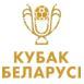 Logo giải đấu