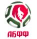 Logo giải đấu