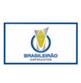 Logo giải đấu