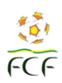 Logo giải đấu