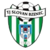 Logo Bzenec