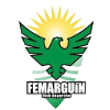 Logo CD Femarguin (W)