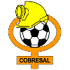 Logo Cobresal