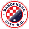 Logo Dandenong City SC