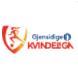 Logo giải đấu