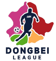 Logo giải đấu