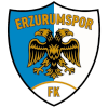 Logo Erzurum BB