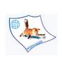 Logo FK Gorno Lisice