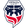 Logo Fortaleza F.C