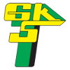 Logo GKS Gornik Leczna (W)