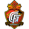 Logo Gyeongnam FC