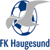 Logo Haugesund U19