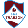 Logo Hekimoglu Trabzon