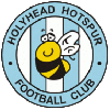 Logo Holyhead