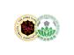 Logo giải đấu