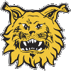 Logo Ilves Tampere II
