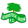 Logo Leverstock Green