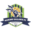 Logo Marumo Gallants FC