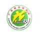 Logo giải đấu