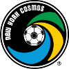 Logo New York Cosmos