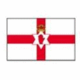Logo Northern Ireland U21